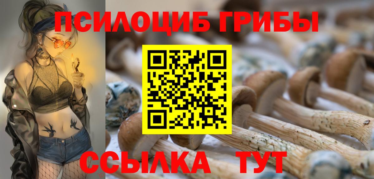 Гудермес  Галлюциногенные грибы прущие грибы  Псилоцибиновые грибы Cubensis  Вход с VPN 